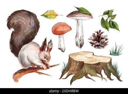 Ensemble d'illustrations de forêt d'aquarelle avec des écureuils, des champignons et des feuilles arbres isolés sur fond blanc. Dessin à la main réaliste pour la décoration Banque D'Images