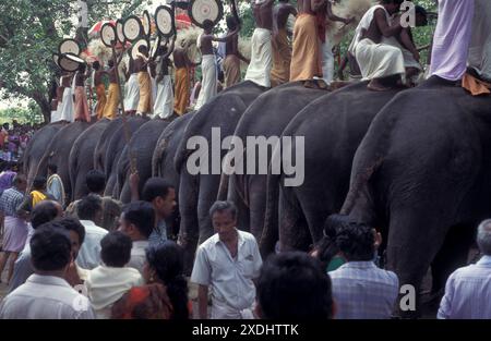 Agriculteurs avec leurs éléphants au traditionnel Pooram ou Elephant Festival et Temple Festival dans la ville de Thrissur ou Trichur dans la province de Ker Banque D'Images