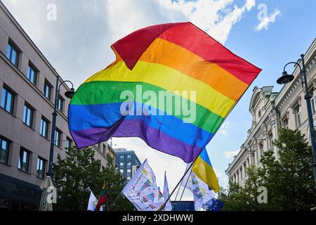 Drapeaux fierté et unité. Une scène vibrante arborant un drapeau de fierté Banque D'Images