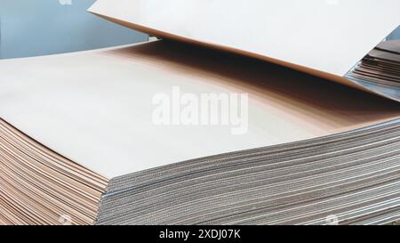 Les éléments des boîtes corton sont collectés dans la pile. Ligne de convoyeur pour la production de boîtes. La machine coupe les boîtes en carton à partir de feuilles de carton. ENT Banque D'Images