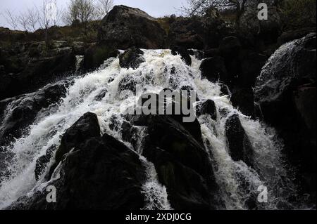 Rhaeadr Lliw. Afon lliw, près de Llanuwchllyn. Banque D'Images