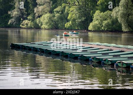 Parc public avec bateaux à louer garés sur l'eau par pont. Loisirs de nature active, repos en plein air Banque D'Images