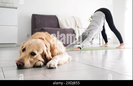 Une femme âgée faisant Une pose de yoga face vers le bas à la maison, tandis que son chien Golden Retriever repose sur le sol Banque D'Images