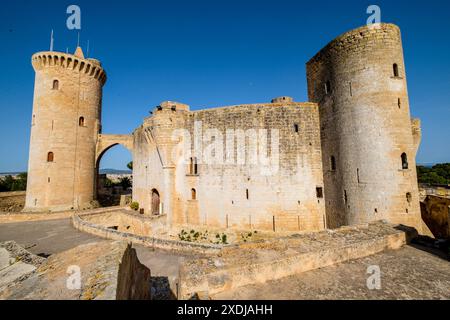 Castillo de Bellver, Palma, Majorque, îles Baléares, Espagne. Banque D'Images