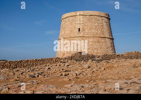 Torre de la Gavina, CAN Marroig domaine public, Formentera, Iles Pitiusa, Communauté des Baléares, Espagne Banque D'Images