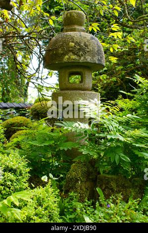 Lanterne traditionnelle en pierre dans le jardin japonais. Banque D'Images