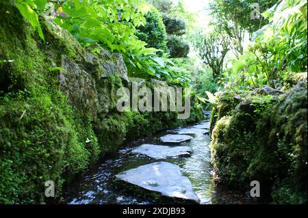 Chemin de pierre zen dans un jardin japonais fait de pierres plates. Banque D'Images