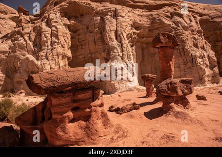 Toadstool hoodoos, Grand Staircase escalade National Monument, Kanab, Utah Banque D'Images