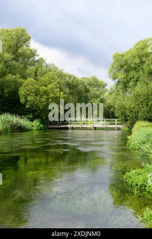 Winchester. Angleterre. La rivière Itchen à Martyr Worthy. La rivière est l'un des premiers ruisseaux de craie au monde pour la pêche à la mouche. Banque D'Images