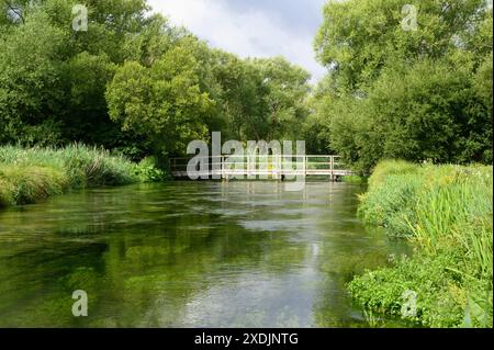 Winchester. Angleterre. La rivière Itchen à Martyr Worthy. La rivière est l'un des premiers ruisseaux de craie au monde pour la pêche à la mouche. Banque D'Images