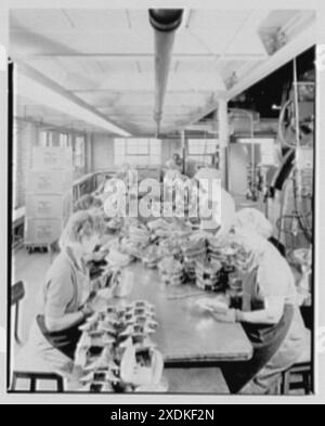 Eric Weidemeyer, 2080 Jericho Turnpike, New Hyde Park. Inspection. Collection Gottscho-Schleisner Banque D'Images