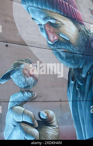 Peinture murale de St Mungo (L'oiseau qui n'a jamais volé) à Glasgow, Écosse - Royaume-Uni, décembre 2022 Banque D'Images