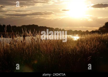 Paysage sur l'Elbe après un orage d'été, Allemagne Banque D'Images