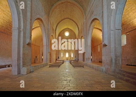 Vue intérieure de l'église monastère de l'abbaye romane du Thoronet, complexe monastère, abbaye cistercienne, Var, Provence, France Banque D'Images