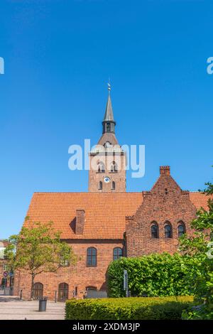 Odense, monastère, bâtiment en brique, tour de l'église cathédrale, église St Knud, Fyn, île de Funen, Danemark Banque D'Images