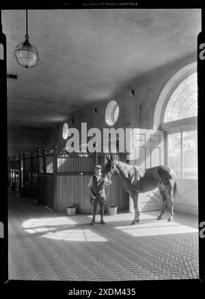 Marshall Field, Lloyds Neck, Huntington, L.I. vue intérieure de l'écurie avec chevaux. Collection Gottscho-Schleisner Banque D'Images