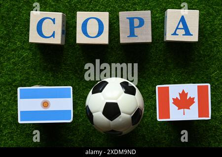 18 juin 2024, Miami, États-Unis. Drapeaux des équipes participantes de l'America's Cup Soccer Group A. Argentine et Canada. COPA America 2024 Banque D'Images