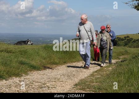 Randonneurs sur la South Downs Way à Ditchling Beacon Banque D'Images