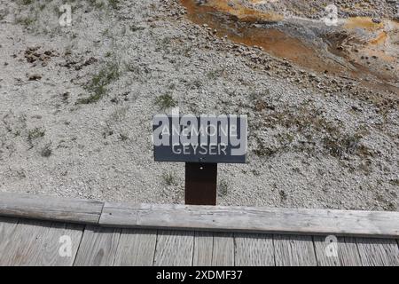 Anemone Geyser est un geyser situé dans le Upper Geyser Basin du parc national de Yellowstone dans le Wyoming, aux États-Unis Banque D'Images
