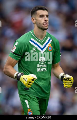 Joan Garcia (RCD Espanyol) célèbre lors d'un match final de la Liga Hypermotion entre le RCD Espanyol et le Real Oviedo au Stage Front Stadium, à Barcelone, en Espagne, le 23 juin 2024. Photo de Felipe Mondino Banque D'Images