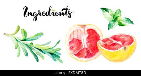 Une aquarelle avec des herbes et du pamplemousse comme ingrédients clés pour une expérience culinaire colorée Banque D'Images