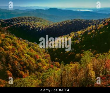 Couleur d'automne, à l'Est donnent sur la rivière Pigeon, fourche, Blue Ridge Parkway, Pisgah National Forest, North Carolina Banque D'Images