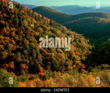 Couleur d'automne, à l'Est donnent sur la rivière Pigeon, fourche, Blue Ridge Parkway, Pisgah National Forest, North Carolina Banque D'Images