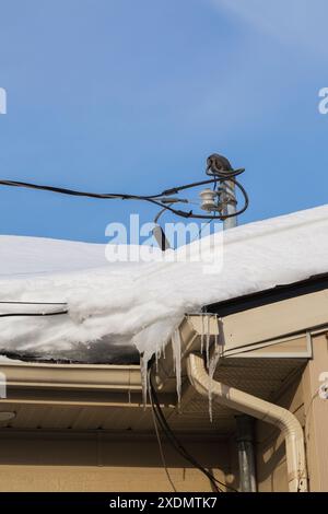 Mât de service de ligne électrique résidentiel sur le toit avec des câbles enveloppés dans la glace et la neige en hiver. Banque D'Images