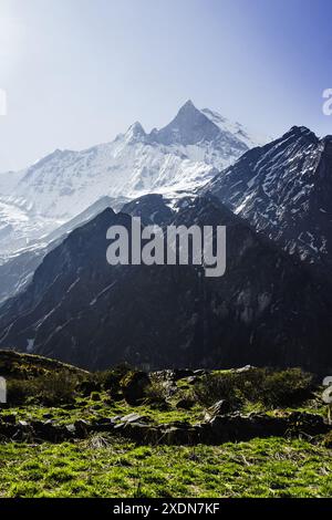 Machhapuchhare, Mt Fishtail dans l'Himalaya du Népal, Machapuchare, la montagne sacrée du Népal, Machhapuchhare : l'énigmatique pic Fishtail de Nepa Banque D'Images