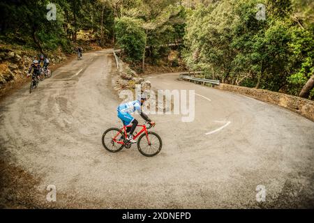 Cyclistes montant le Coll d Honor, route Bunyola-Orient, sierra de Tramuntana, mallorca, baléares, espagne, europe. Banque D'Images