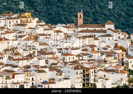 Algatocin, village blanc de la chaîne de montagnes Ronda, Malaga, Andalousie, Espagne. Banque D'Images