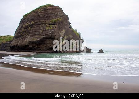 Piha Beach - Nouvelle-Zélande Banque D'Images