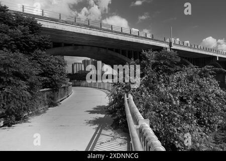 Superbe photographie en noir et blanc du South Congress Bridge à Austin, Texas, s'étendant sur un chemin gracieusement courbé. Banque D'Images