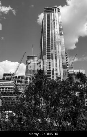 L'image en noir et blanc montre de grands bâtiments et gratte-ciel en construction, à Austin Texas. Banque D'Images