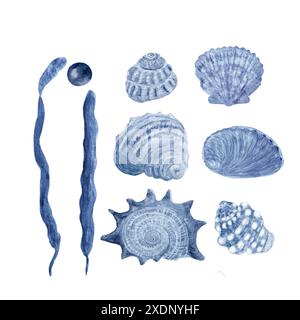 ensemble de coquilles monochromes bleues, algues et une perle à l'aquarelle isolé sur blanc. Illustration dessinée à la main pour la décoration, papier d'emballage, restaurant Banque D'Images