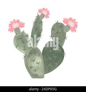 Poire à barbotine. Cactus fleuri avec des fleurs roses. Plantes pour la maison. Floriculture. Flore du désert. Illustration d'aquarelle isolée sur fond blanc Banque D'Images