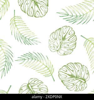 Modèle tropical sans couture avec des illustrations vectorielles monstera et feuilles de palmier sur fond isolé. Bel élément exotique botanique peint à la main Illustration de Vecteur