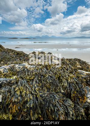 Les Paps de montagne du Jura sont visibles à l'horizon depuis la plage de Port a Chapuill sur l'île voisine de Colonsay dans les Hébrides intérieures, en Écosse, au Royaume-Uni Banque D'Images