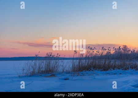 Un beau paysage de lever de soleil d'hiver de lac gelé et de forêt. Paysage coloré avec des cieux de l'aube en Europe du Nord. Banque D'Images
