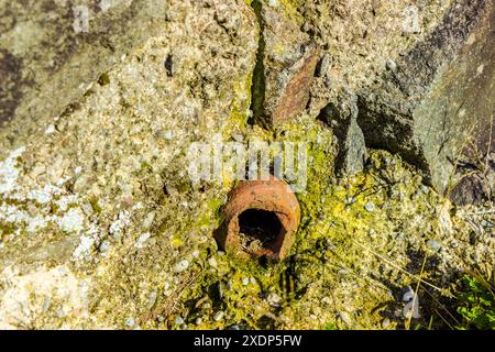 Fragment d'un tuyau en argile provenant d'un système d'alimentation en eau Banque D'Images