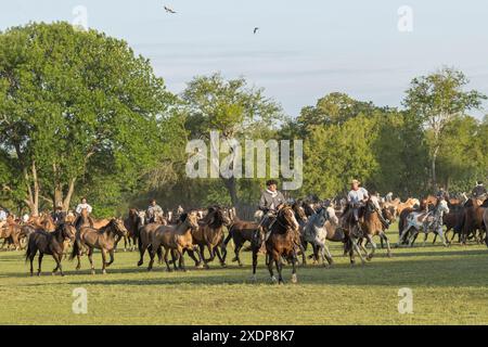 Dia de la tradicion jour de la tradition San Antonio de areco Buenos aires province Argentine Ciollo chevaux Banque D'Images