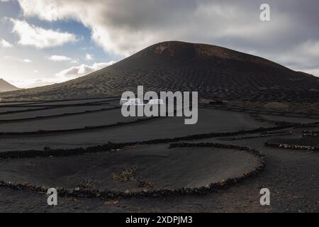 Région viticole de la Geria au coeur de Lanzarote, Lanzarote, Canar Banque D'Images