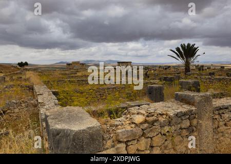 Volubilis est une ville berbère-romaine partiellement fouillée au Maroc Banque D'Images