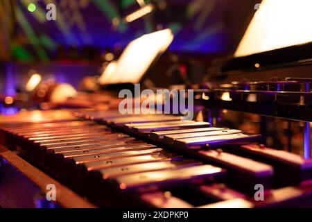 Gros plan des touches du xylophone avec orchestre de fond flou Banque D'Images