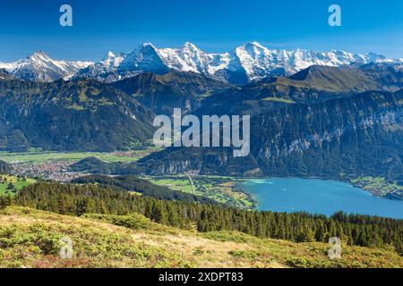 Géographie / voyage, Suisse, Alpes suisses, vue de Niederhorn, Eiger, MOENCH, UTILISATION NON EXCLUSIVE POUR L'UTILISATION DE CARTES DE VŒUX-CARTES POSTALES PLIANTES Banque D'Images