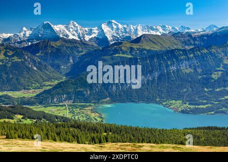 Géographie / voyage, Suisse, Alpes suisses, vue de Niederhorn, Eiger, MOENCH, UTILISATION NON EXCLUSIVE POUR L'UTILISATION DE CARTES DE VŒUX-CARTES POSTALES PLIANTES Banque D'Images