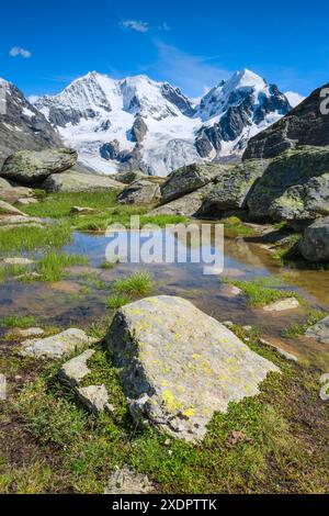 Géographie / voyage, Suisse, Piz Bernina, Biancograt, Piz Roseg, GRISONS, UTILISATION NON EXCLUSIVE POUR LE PLIAGE DE CARTES DE VŒUX CARTE POSTALE Banque D'Images