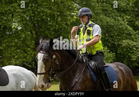 Un officier de la police métropolitaine montée et son cheval de la branche montée de la police métropolitaine faisant des exercices d'entraînement à Green Park, Londres, Royaume-Uni. Banque D'Images