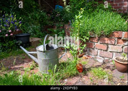 Vieux arrosoir debout sur un chemin de jardin envahi par la végétation, avec des parterres de fleurs et une terrasse en briques basse derrière par une chaude journée d'été Banque D'Images