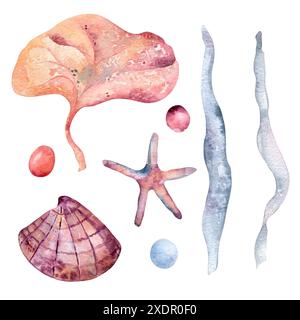 Variété d'éléments de vie marine comme une étoile de mer, coquillage, algues et pierres à l'aquarelle. Illustration dessinée à la main sous-marine dans une palette vibrante Banque D'Images